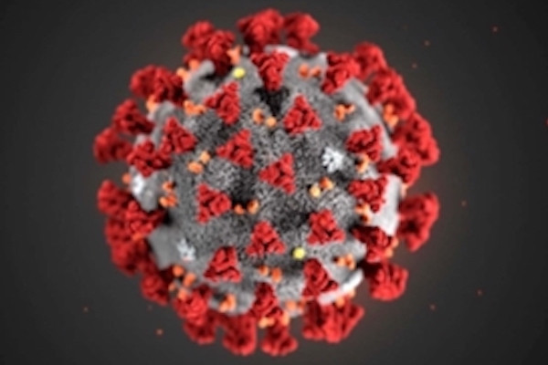 Picture of Covid virus
