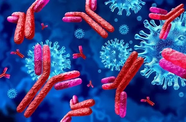 Covid-19 in Autoimmune response