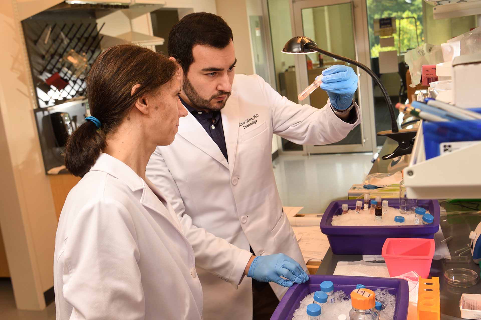 Bosinger lab